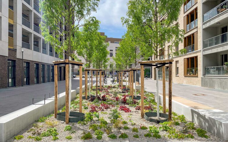 Bachmannstraße im Dichterviertel: Blick auf Bäume, Beete und Sitzgelegenheiten.